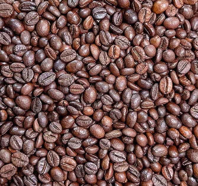 Robusta